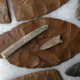 Illustration for article titled Are all Native Americans descended from the Clovis people?